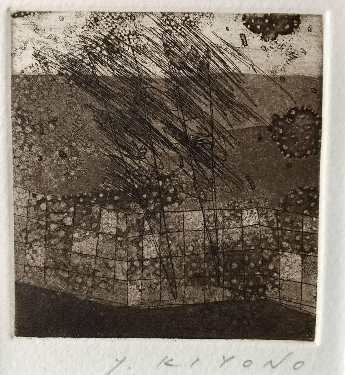 Amazon.co.jp: 清野泰行 銅版画 東京藝術大学 ATELIER C-126